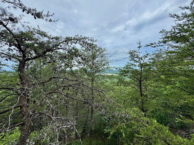 2025 Kings Mountain Men's Hike Photo