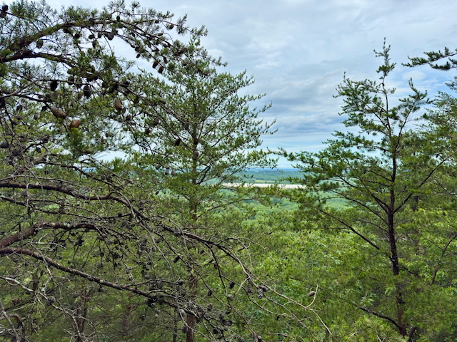 2025 Kings Mountain Men's Hike Photo