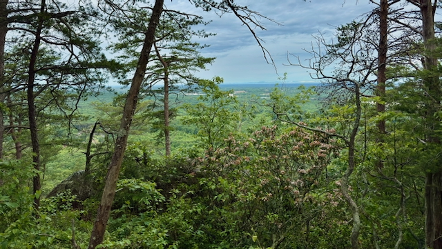 2025 Kings Mountain Men's Hike Photo