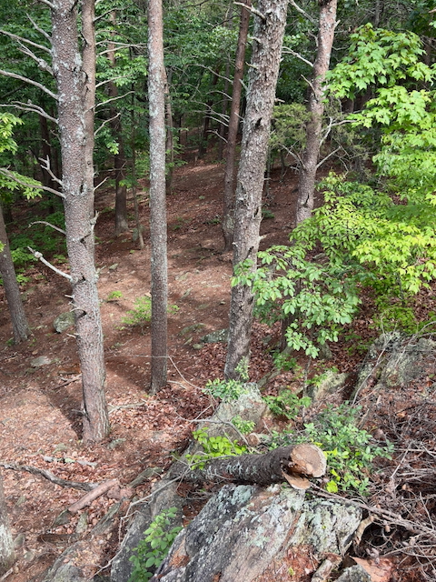 2025 Kings Mountain Men's Hike Photo