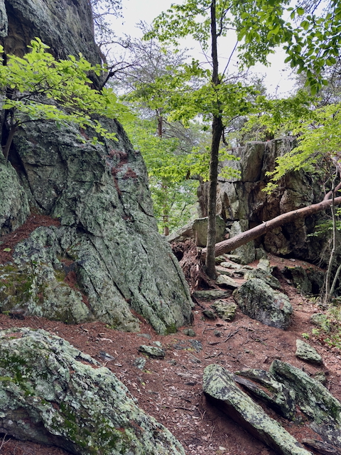 2025 Kings Mountain Men's Hike Photo