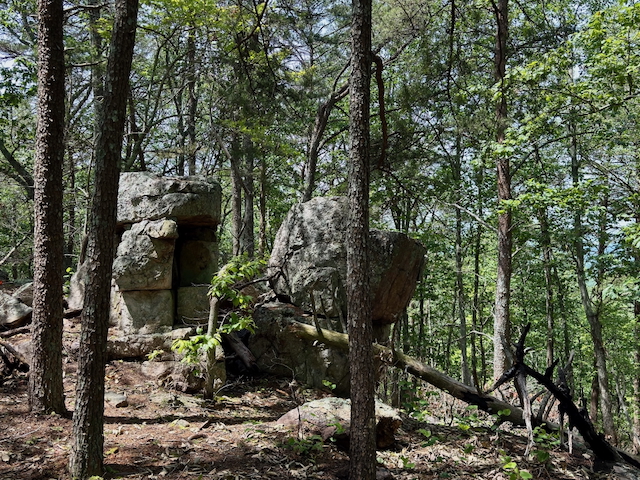 2025 Kings Mountain Men's Hike Photo