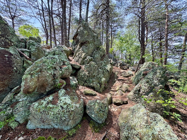 2025 Kings Mountain Men's Hike Photo