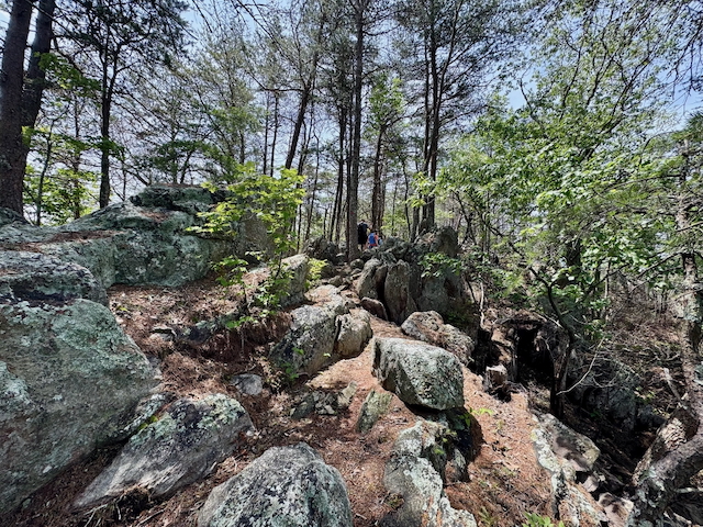 2025 Kings Mountain Men's Hike Photo