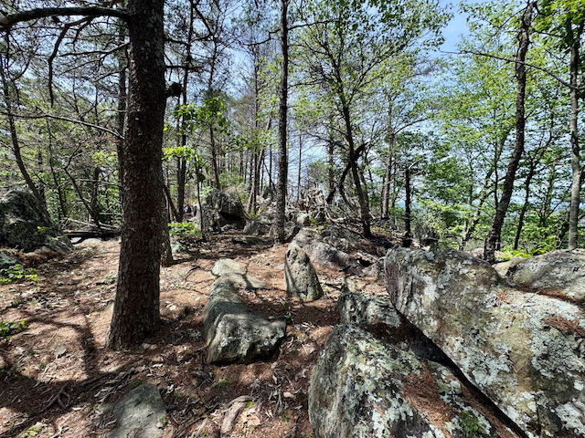 2025 Kings Mountain Men's Hike Photo