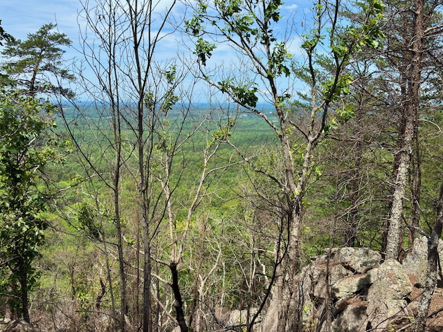 2025 Kings Mountain Men's Hike Photo