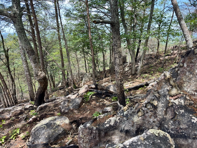 2025 Kings Mountain Men's Hike Photo