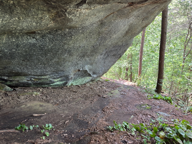 2025 Kings Mountain Men's Hike Photo